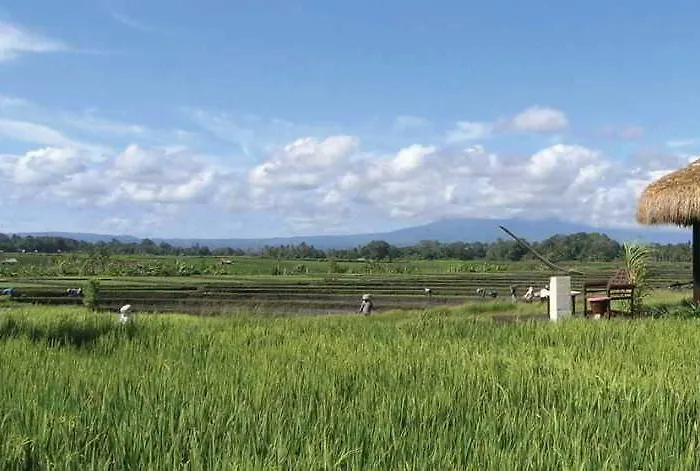 Wakagangga Resort Selemadeg